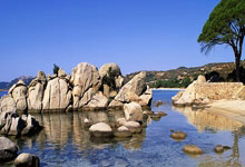 6月踢世俱杯还是U21欧洲杯？麦卡蒂：没想好，两个机会都很好.